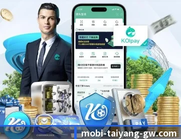 太阳城 APP 深度功能